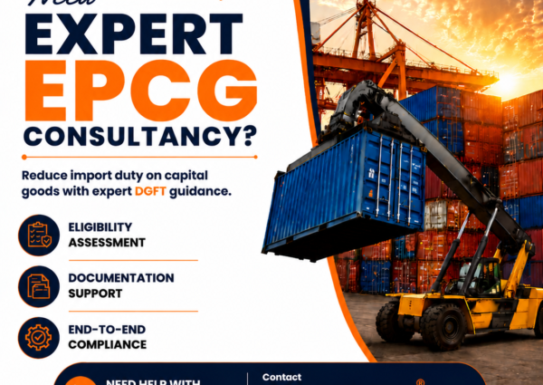 Why Businesses Need Professional EPCG Consultancy