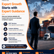 Expert DGFT advisory services for exporters